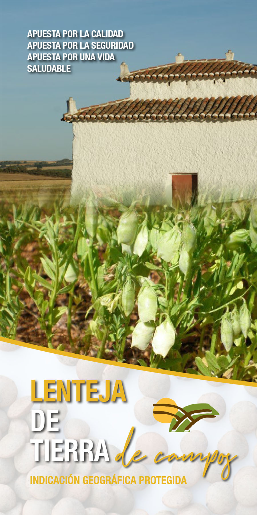 Lenteja de Tierra de Campos